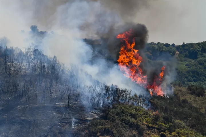 Ναυπακτία: Φωτιά στην περιοχή Τερψιθέα 