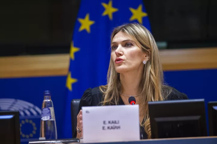 Προφυλακιστέα η Ε. Καϊλή - «Με πολιτικά κριτήρια η απόφαση» λέει ο συνήγορος της