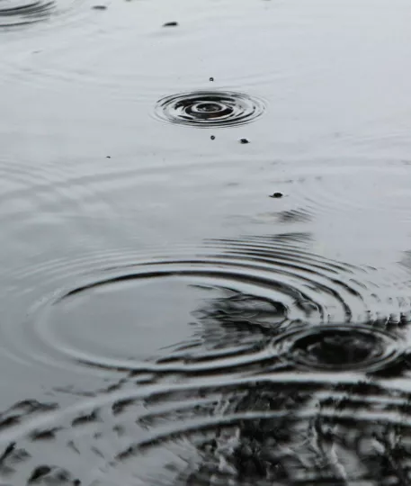 Βίοι παράλληλοι μεταμελημένων αντιμνημονιακών