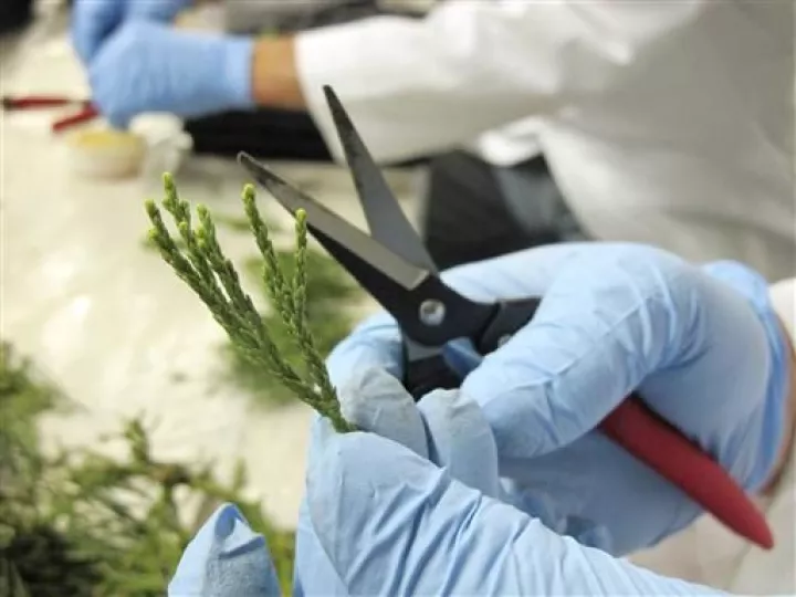 H φορολογική μεταρρύθμιση καταλύτης στη Βιοτεχνολογία