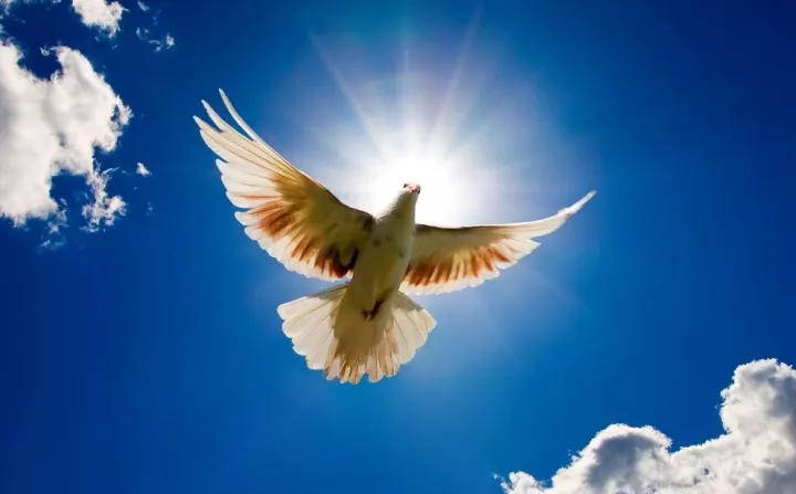 Περιμένοντας την Ανάσταση! 