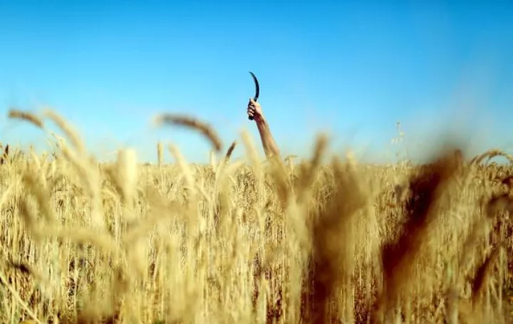 Γιάννης Ραγκούσης: Το πλεόνασμα στην παραγωγή και στους νέους