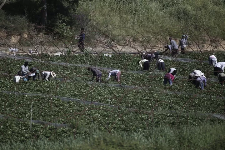 Η Κόλαση της Μανωλάδας δεν υπήρξε ποτέ! 