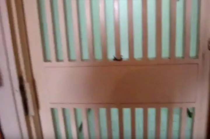 Βίντεο Δεύτερο. Από το διαμέρισμα, στον δρόμο