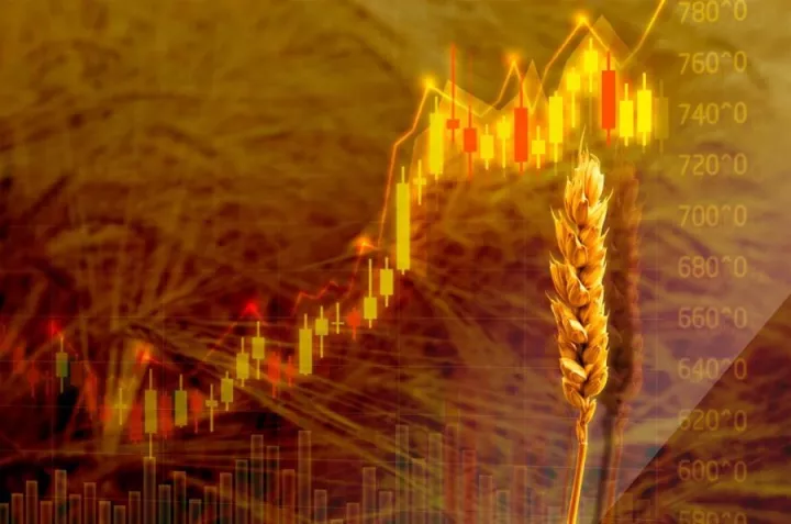 Nέα ιστορικά υψηλά για το σιτάρι - Άλμα 9,1%